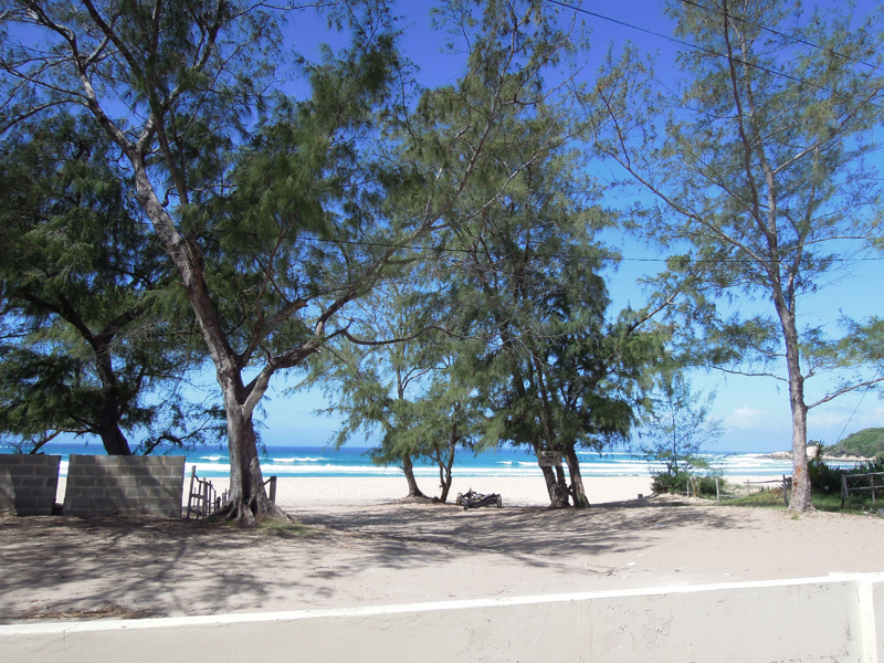 Phtograph of Mozambique