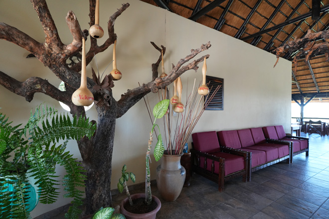 Picture taken at Mondjila Safari Camp Etosha National Park Namibia