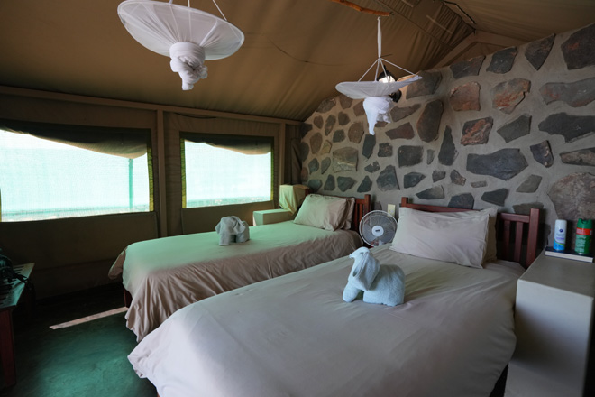 Picture taken at Mondjila Safari Camp Etosha National Park Namibia