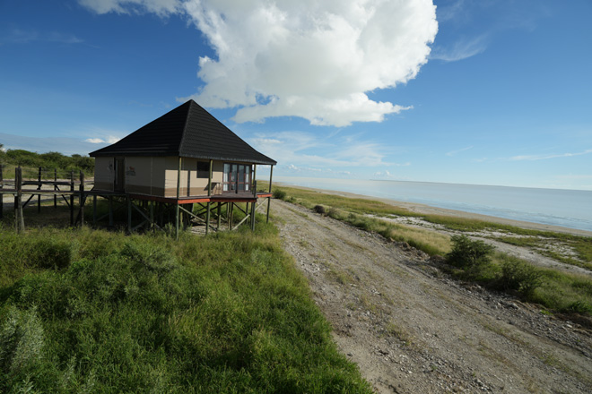 Onkoshi Etosha National Park