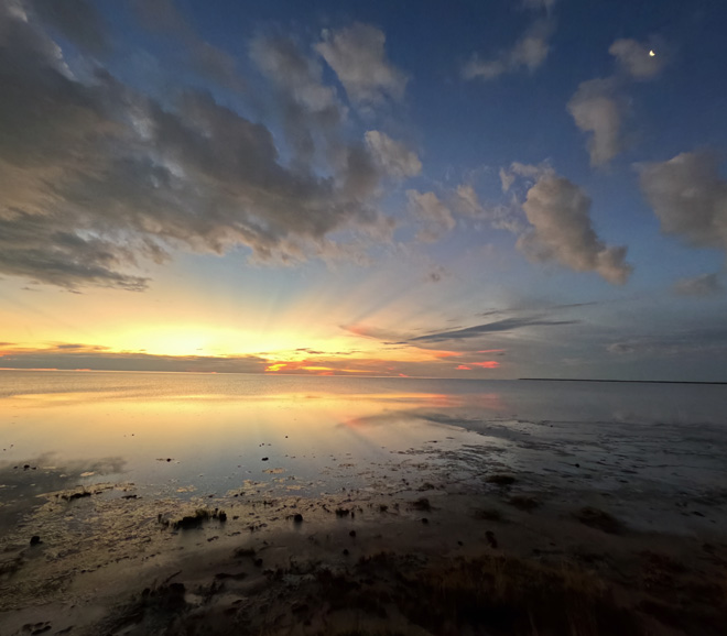 Picture taken at Onkoshi Etosha National Park Namibia