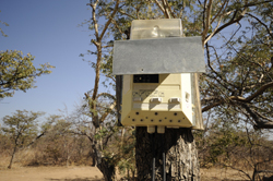 Etosha Gateway Camping