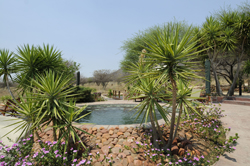 Waterberg Guest Farm