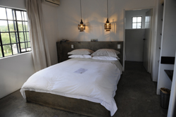 Olive Grove Guesthouse
