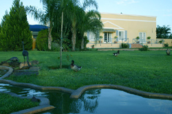 Mariental River Chalets