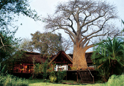 Impalila Island Lodge Namibia