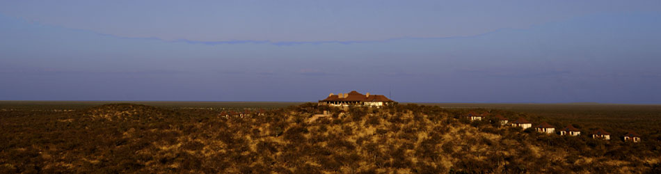 etosha safari lodge namibia