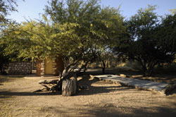 camping places near Etosha park Namibia