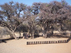 Barby Guest Farm Namibia