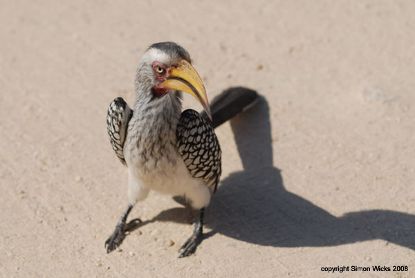 namibia_04