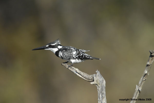 namibia_05