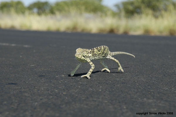 namibia_07