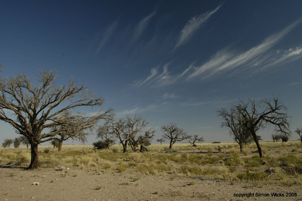namibia_18