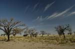 On safari in Namibia