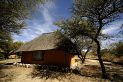 safari lodge otavi namibia