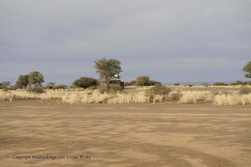 Quivertree Forest Camping Site Keetmanshoop
