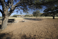 Hammerstein Lodge Namib Desert