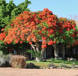 Nubib Mountain Guest Farm Namibia