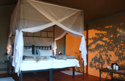 Waterberg Valley Lodge Waterberg Double Econo Chalet Bed