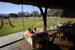 Okapuka Ranch Lodge Namibia