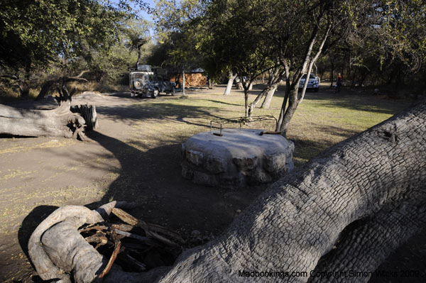 onguma_camping_05