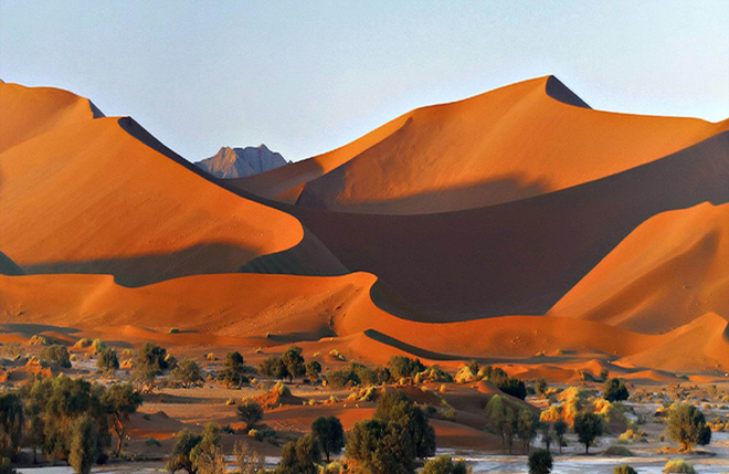 Desert Whisper Namib Desert