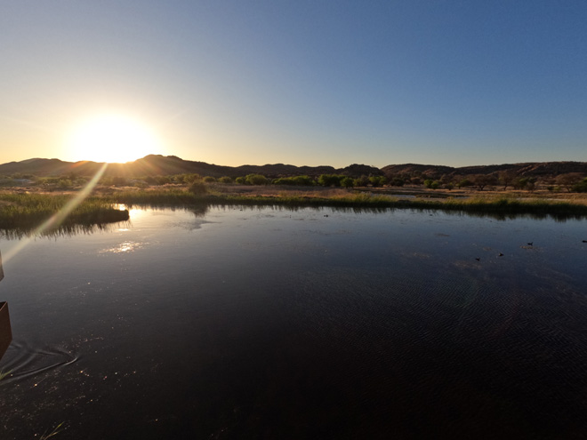 Picture taken at Gross Barmen Resort Okahandja Namibia
