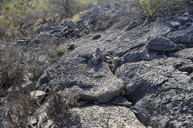 Picture taken at Damara Mopane Lodge Damaraland Namibia