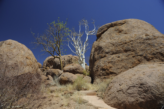 Picture taken at Mowani Mountain Camp Damaraland Namibia