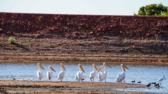 WABI Private Luxury Game Reserve Waterberg