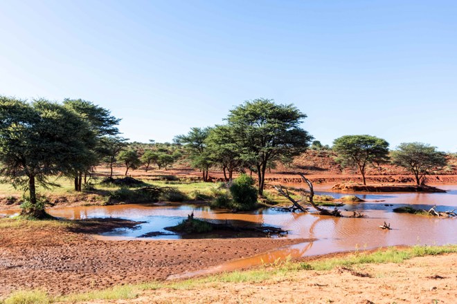 WABI Private Luxury Game Reserve Waterberg