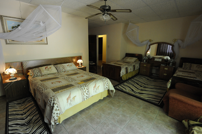 Zelda Game And  Guest Farm Buitepos Family Room Double bed accommodation