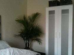 Little Apple Manhattan Inn