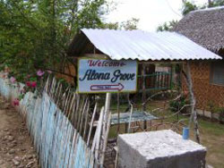 Alona Grove