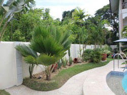 Alona Northland Resort