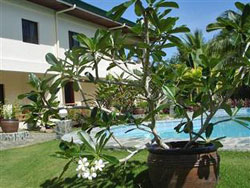 Alona Swiss Hotel