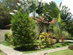 Alona Swiss Hotel
