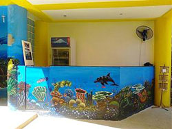 Baywatch Diving and Fun Center