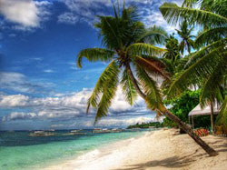 Bohol Casa Nino Beach Resort