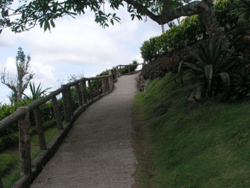 Bohol Wonderlagoon resort