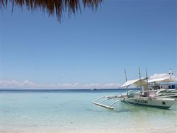 Palm Island Hotel and Dive Resort Bohol