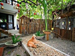 The Lazy Dog Bed and Breakfast Boracay