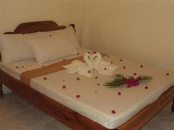 Centro Coron B and B