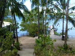 Discovery Island Resort