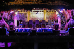 Den Pasar Nasog Beachfront Villa