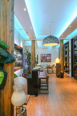 Den Pasar Nasog Beachfront Villa