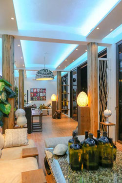 Den Pasar Nasog Beachfront Villa