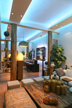 Den Pasar Nasog Beachfront Villa