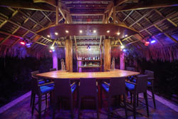 Den Pasar Nasog Beachfront Villa