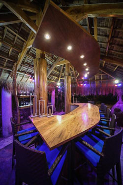 Den Pasar Nasog Beachfront Villa